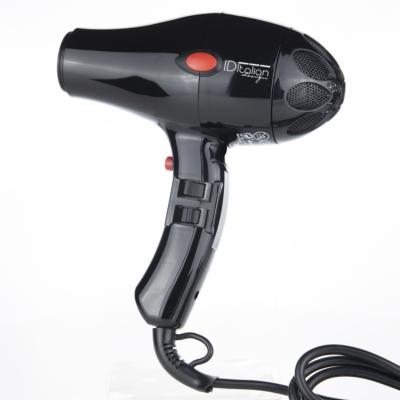 Sèche-cheveux Ionic 2200 W Acheter - Appareils des soins du corps - LANDI