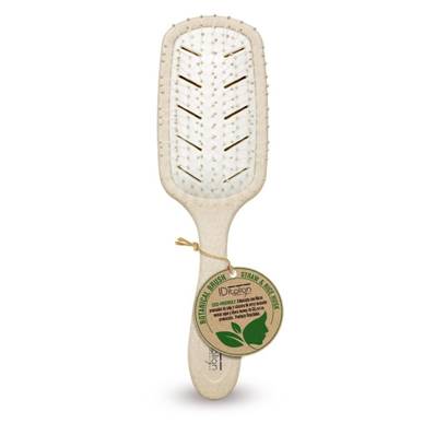 BROSSE BOTANIQUE PLATE YAHARI