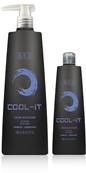 SHAMPOING BES COLOR REFLECTION COOL IT 1L