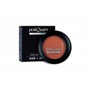 BLUSH COLOR TREND SUN POSTQUAM