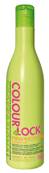 SHAMPOING AMPHOTEN COLOUR LOCK BES