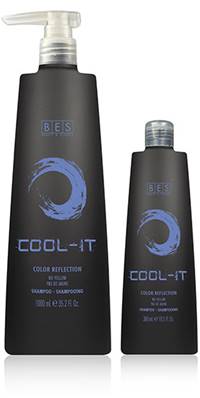 SHAMPOING BES COLOR REFLECTION COOL IT 1L